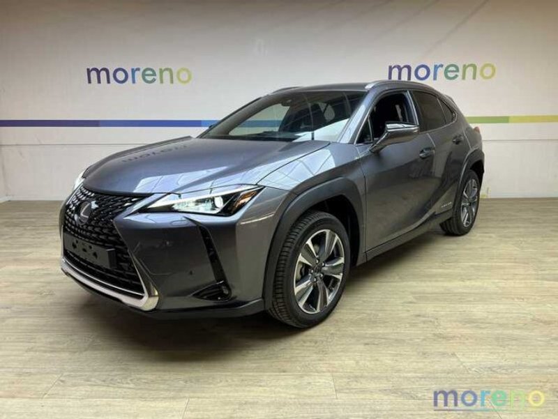 LEXUS UX 300e