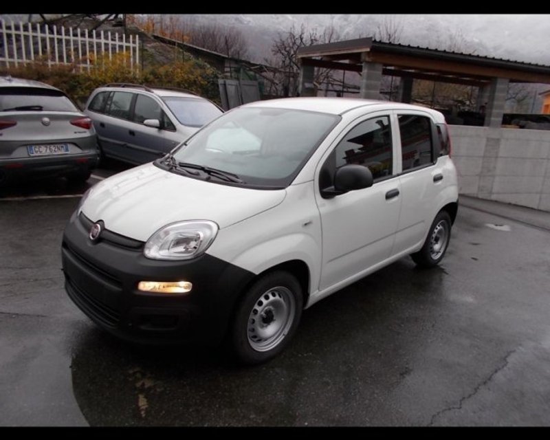 FIAT PROFESSIONAL Panda