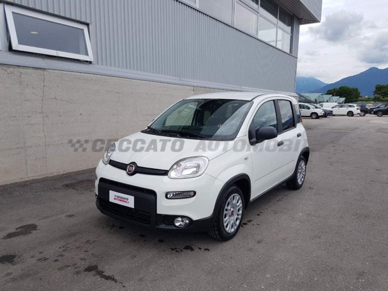 FIAT PROFESSIONAL Panda