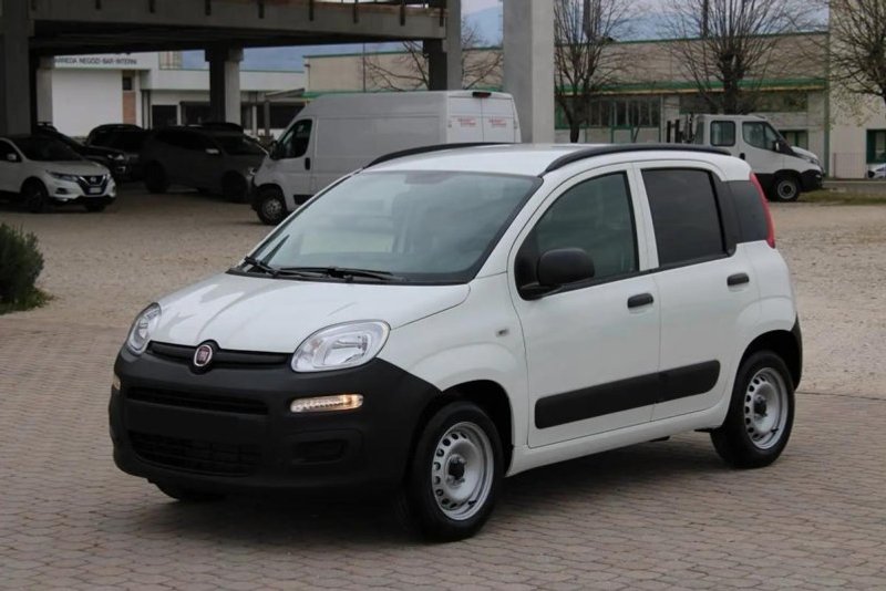 FIAT PROFESSIONAL Panda